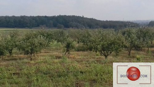 Размещение бесплатных объявлений дачный участок подать бесплатное объявление в новокузнецке недвижимость